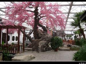 园林景观工程中的花草设计与养护